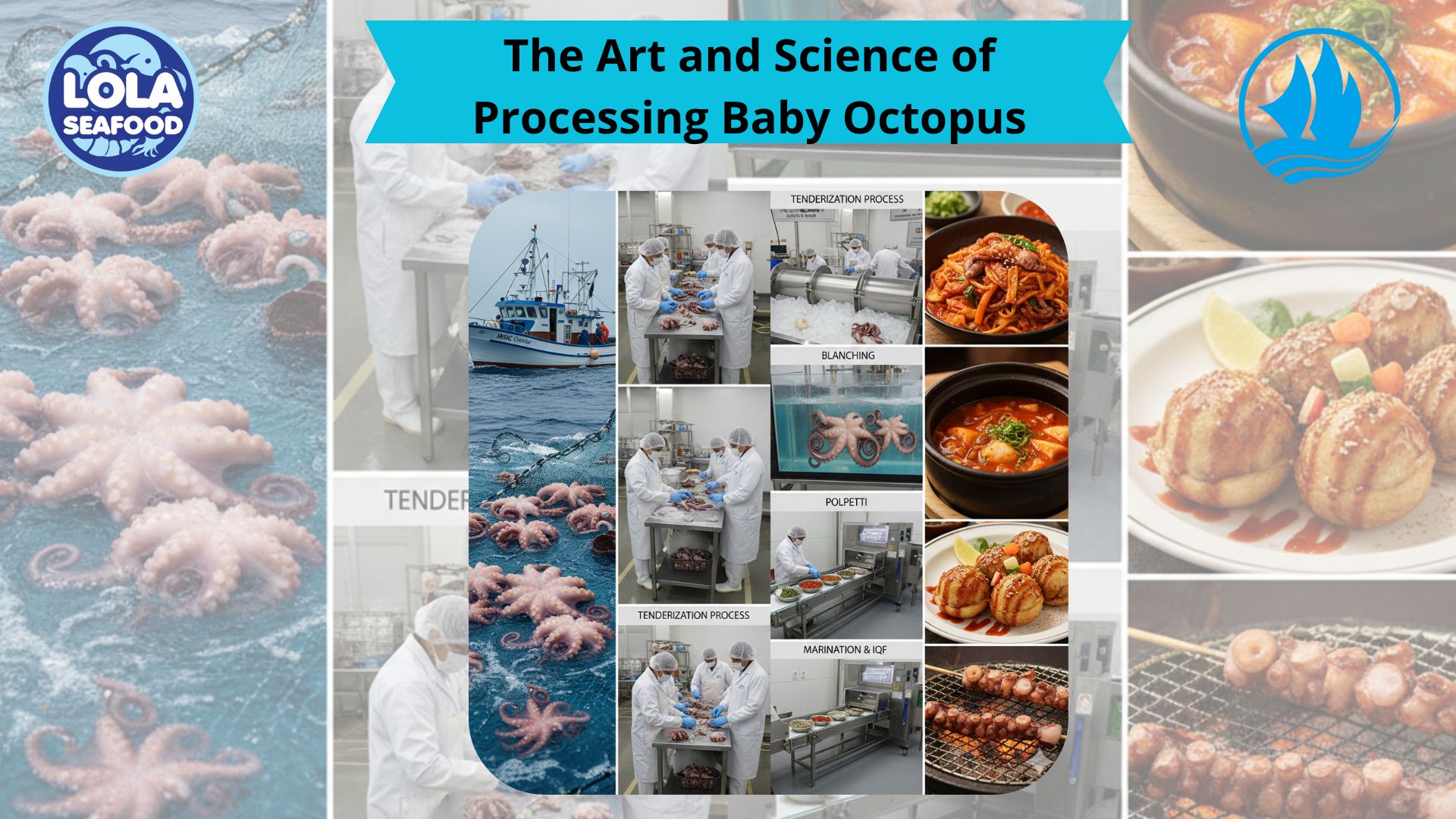 The Art and Science of Processing Baby Octopus